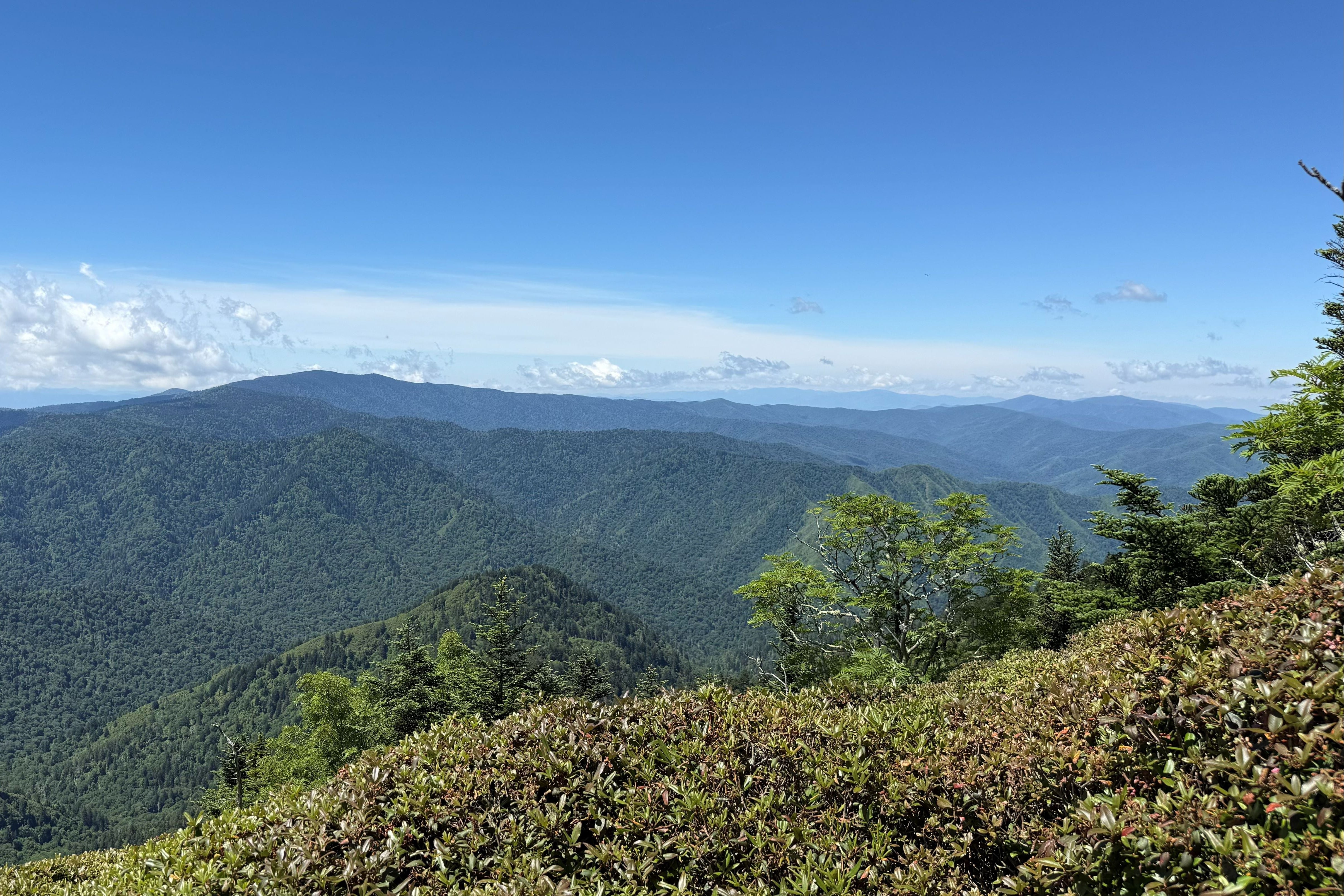 Scenic view of mountains with green trees under a clear blue sky